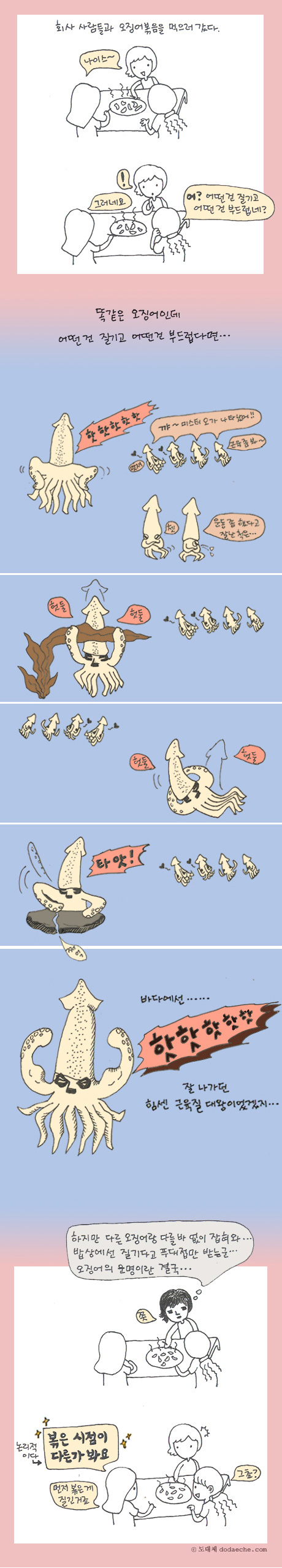 오징어 볶음의 비밀