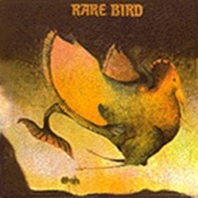 [가사 검열]  by Rare Bird